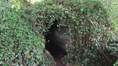 Außerhalb-Einer-Kleinen-Höhlenöffnung,-Die-Mit-Grünem-Efeu-Bedeckt-Ist
