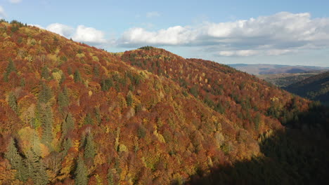Luftstoß-In-Richtung-Des-Wunderschönen-Bergwaldes-In-Leuchtenden-Herbstfarben