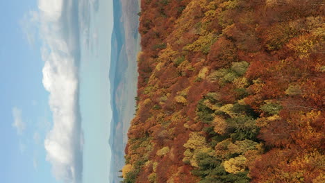 Flyover-above-forested-mountain-in-autumn-towards-town-in-distant-valley