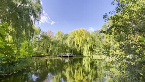 Summer-in-Romantic-Park-of-Berlin-with-Willow-Trees-next-to-Pond