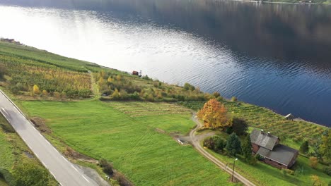 Chopped-down-trees-and-only-grass-left-on-fruit-farm-in-Ullensvang-Hardanger-due-to-low-income-and-high-expenses---Hardanger-sorfjorden-in-background-and-road-rv13-to-Odda-in-foreground---Norway