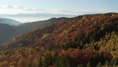 Low-flyover-above-mountain-hillside-covered-in-beautiful-autumn-forest