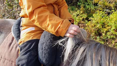 Boy-with-autism-gently-strokes-the-horses-mane-during-horseback-riding-in-autumn-sun---Closeup-of-mane-and-child-hand-with-no-face