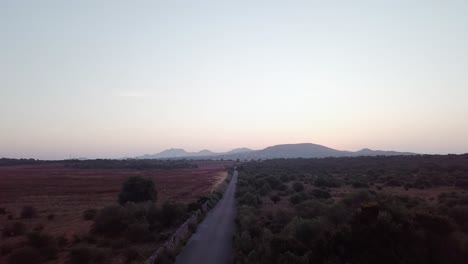 Aerial-forward-flight-over-empty-road-surrounded-by-farm-fields-during-dusk-and-mountains-of-Mallorca-in-background