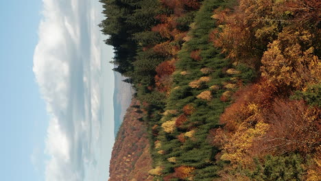 Slow,-peaceful-flyover-above-mountain-forest-in-autumn-color