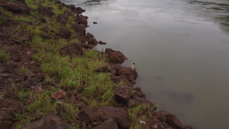 Isolierte-Junge-Frau,-Die-Auf-Felsen-Entlang-Des-Flusses-Iguazu-Sitzt,-Grenze-Zwischen-Brasilien-Und-Argentinien