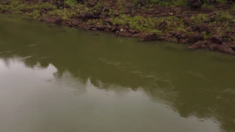 Luftaufnahme-Einer-Frau,-Die-Auf-Einem-Felsen-Vor-Dem-Grünen-Iguazu-Fluss-An-Der-Brasilianischen-Und-Argentinischen-Grenze-Sitzt---Ruhiges-Wasser-In-Der-Wildnis-Des-Amazonas-Regenwaldes