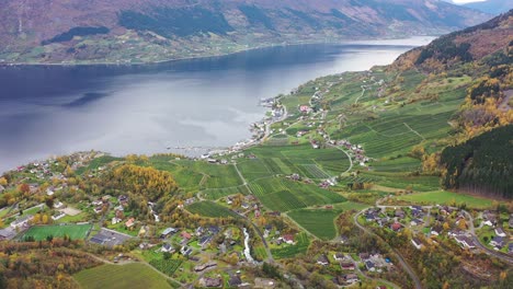 Idyllic-village-Lofthus-beside-Hardanger-sorfjorden-sea---Autumn-aerial-with-beautiful-colors-and-harvest-season-for-fruit-farmers---River-Opo-flowing-in-between-farms-and-houses---Norway