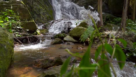 Slow-motion-slider-over-beautiful-waterfall-and-vegetation-in-jungle