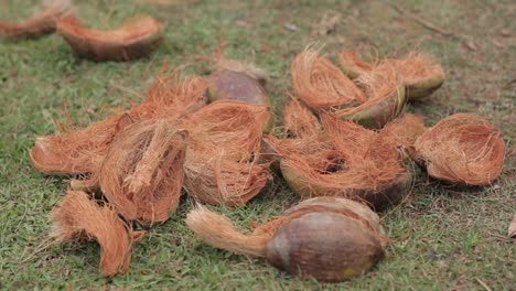 Open-coconut-husks-on-the-floor,-tropical-fruit-shells