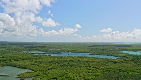 Wind-park-in-coastal-area-behind-wetlands,-La-Plaine-des-Roches,-Mauritius