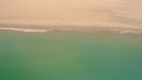 Top-down-drone-shot-of-the-El-Rinconcillo-Beach-in-the-province-of-Algeciras,-Spain