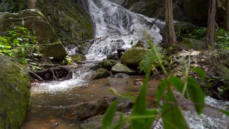 Zeitlupenlandschaft-Im-üppigen-Grünen-Dschungel-Mit-Wasserfall