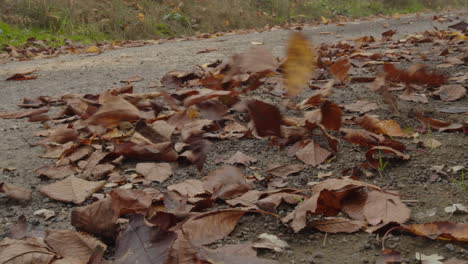 Leaves-flying-behind-car-in-slow-motion,-wheels-or-tires-closeup-view,-autumn-season