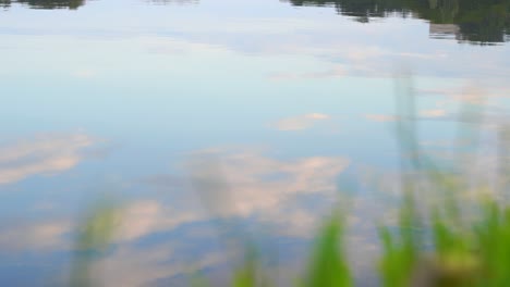 Incredible-calm-scenery-at-lake-with-cloudy-sky-reflections-and-grass