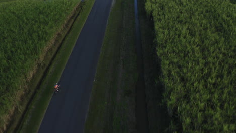 Cyclist-riding-along-straight-road-in-tropical-countryside