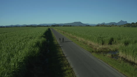 Aerial-shot-of-cane-fields-with-two-cyclists-riding-on-a-straight-road