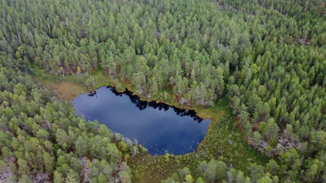 Over-flight-of-a-small-hidden-lake-in-the-Swedish-Dalsland-forest
