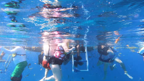 Tourists-climbing-on-ladder-from-blue-ocean-underwater-video-|-Tourists-climbing-in-boat-after-swimming-and-snorkeling-adventure-tour-in-boat-|turquoise-underwater-with-clear-view-of-coral-reef-in-Sea