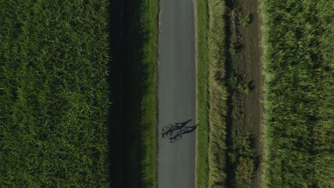 Birdseye-view-of-cyclists-on-a-road-casting-shadows-of-them-riding