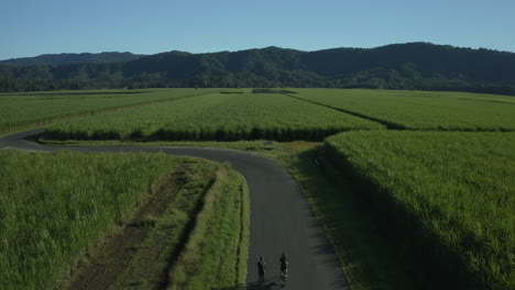 Aerial-shot-of-two-cyclists-in-the-countryside