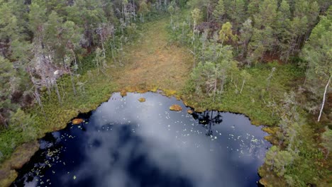 Sobrevuelo-Con-Drones-De-Un-Pequeño-Lago-Escondido-En-Lo-Profundo-De-Los-Bosques-Suecos