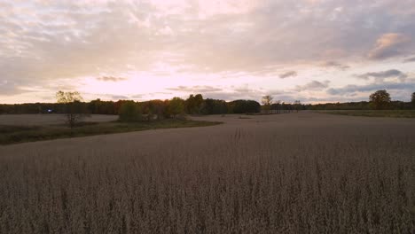 Farmland-in-Mid-Michigan-during-Sunset