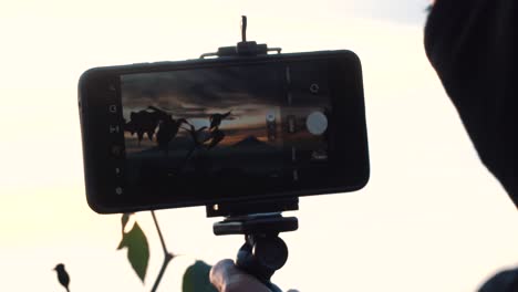 Slow-motion-video---Close-up-shot-of-a-man-is-taking-landscape-photos-using-a-smartphone