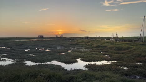 Golden-autumn-sunset-view-of-bog-shallow-marshlands-lands-with-a-small-red-marsh,-tidal-plants,-Coastal-scene-with-golden-sunset,-Ducks,-foul,-birds,-shallow-rippling-water,-and-plant-life