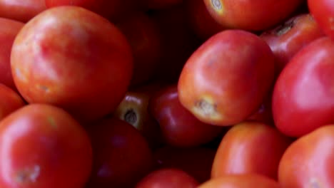 Tomates-Orgánicos-Frescos-De-La-Granja-De-Cerca-Desde-Un-ángulo-Diferente