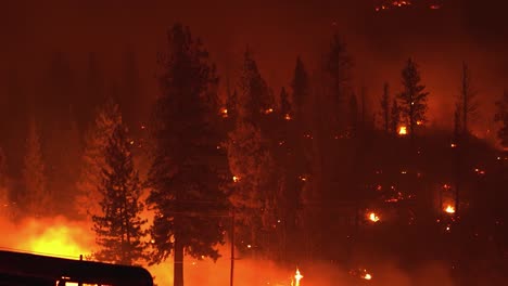 Trees-in-flames,-forest-fires-destroying-and-causing-air-pollution,-dark-summer-night
