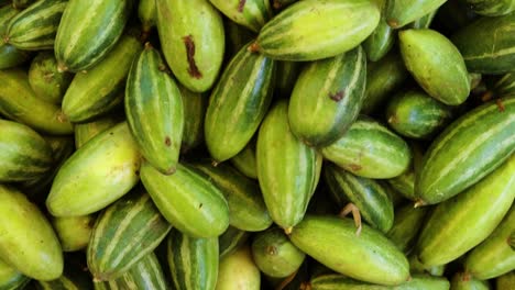 fresh-organic-pointed-gourd-from-farm-close-up-from-different-angle
