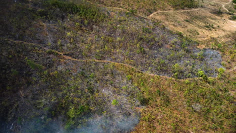 Burned-down-forest-plots-after-warfare-fighting-in-Ukraine,-aerial-view