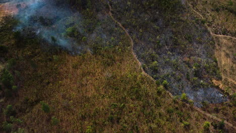 Aerial-flying-forward-over-piece-of-land-with-vegetation-burned-after-wildfire