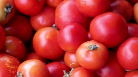 Frische-Bio-Tomaten-Vom-Bauernhof-Aus-Nächster-Nähe-Aus-Verschiedenen-Blickwinkeln