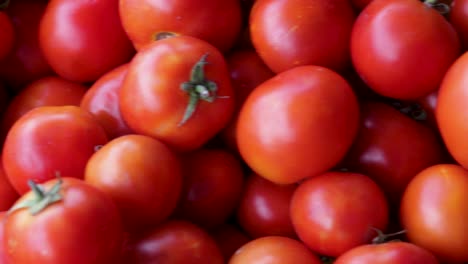 Tomates-Orgánicos-Frescos-De-La-Granja-De-Cerca-Desde-Un-ángulo-Diferente