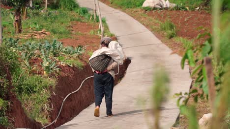 Slow-Motion-Video---Woman-farmer-with-bag-walking-to-plantation-for-work-planting-and-harvesting---Traditional-Indonesian-Farmer