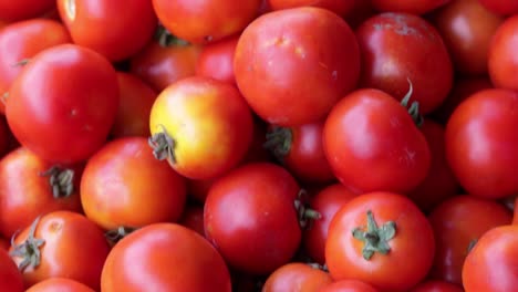 Frische-Bio-Tomaten-Vom-Bauernhof-Aus-Nächster-Nähe-Aus-Verschiedenen-Blickwinkeln