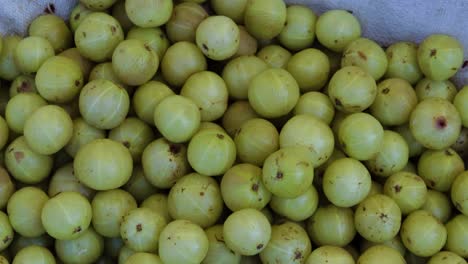 fresh-indian-gooseberries-from-farm-close-up-from-different-angle