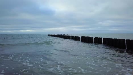 Establishing-aerial-view-of-Baltic-sea-coast-on-a-overcast-day,-old-wooden-pier,-white-sand-beach,-low-waves-crushing-against-the-coast,-climate-changes,-low-wide-angle-drone-shot-moving-forward-slow