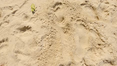 Human-footprints-on-the-beach-sand