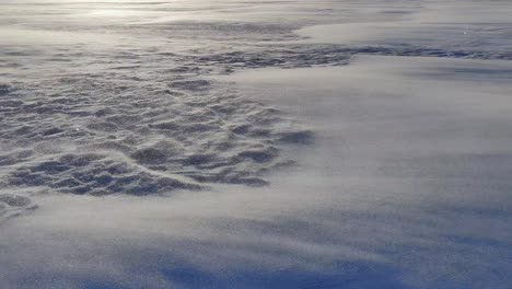 Winterlandschaft-Mit-Schnee,-Der-Sich-Im-Wind-Bewegt