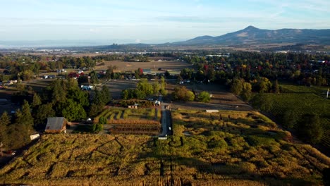 US,-Oregon,-Phoenix---Drone-shot-of-Pheasant-Fields-Farm's-Corn-Maze-set-up-for-the-fall-Harvest-Festival