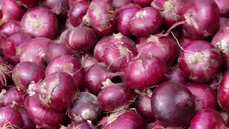 fresh-organic-onion-from-farm-close-up-from-different-angle