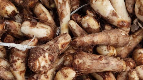 fresh-organic-taro-root-from-farm-close-up-from-different-angle