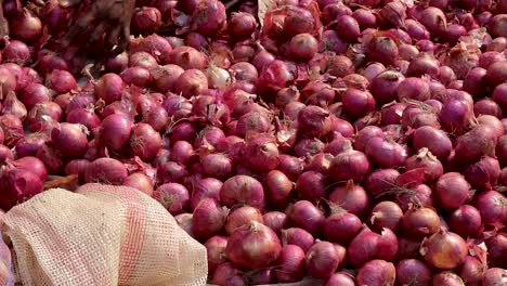 fresh-organic-onion-from-farm-close-up-from-different-angle