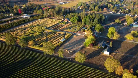 US,-Oregon,-Phoenix---Drone-flying-shot-of-Pheasant-Fields-Farm's-Corn-Maze-set-up-for-the-fall-Harvest-Festival