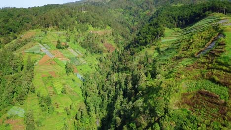 Drone-Ver-Plantación-De-Hortalizas-En-Terrazas-En-La-Pendiente-De-La-Montaña
