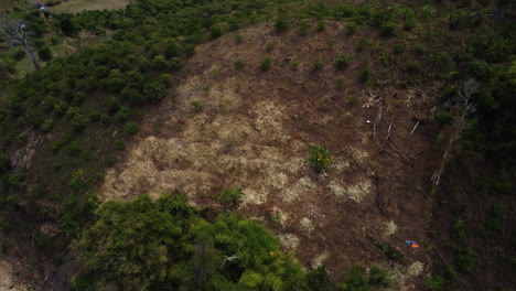 Trocken-Verbranntes-Stück-Land-Für-Den-Entwaldungsprozess-In-Südvietnam,-Nationalpark-Phuoc-Bingh