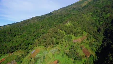 Reveal-drone-shot-with-view-of-lush-plantation-and-forest-on-the-slope-of-mountain,-View-of-beautiful-tropical-landscape---Sumbing-Mountain,-Indonesia